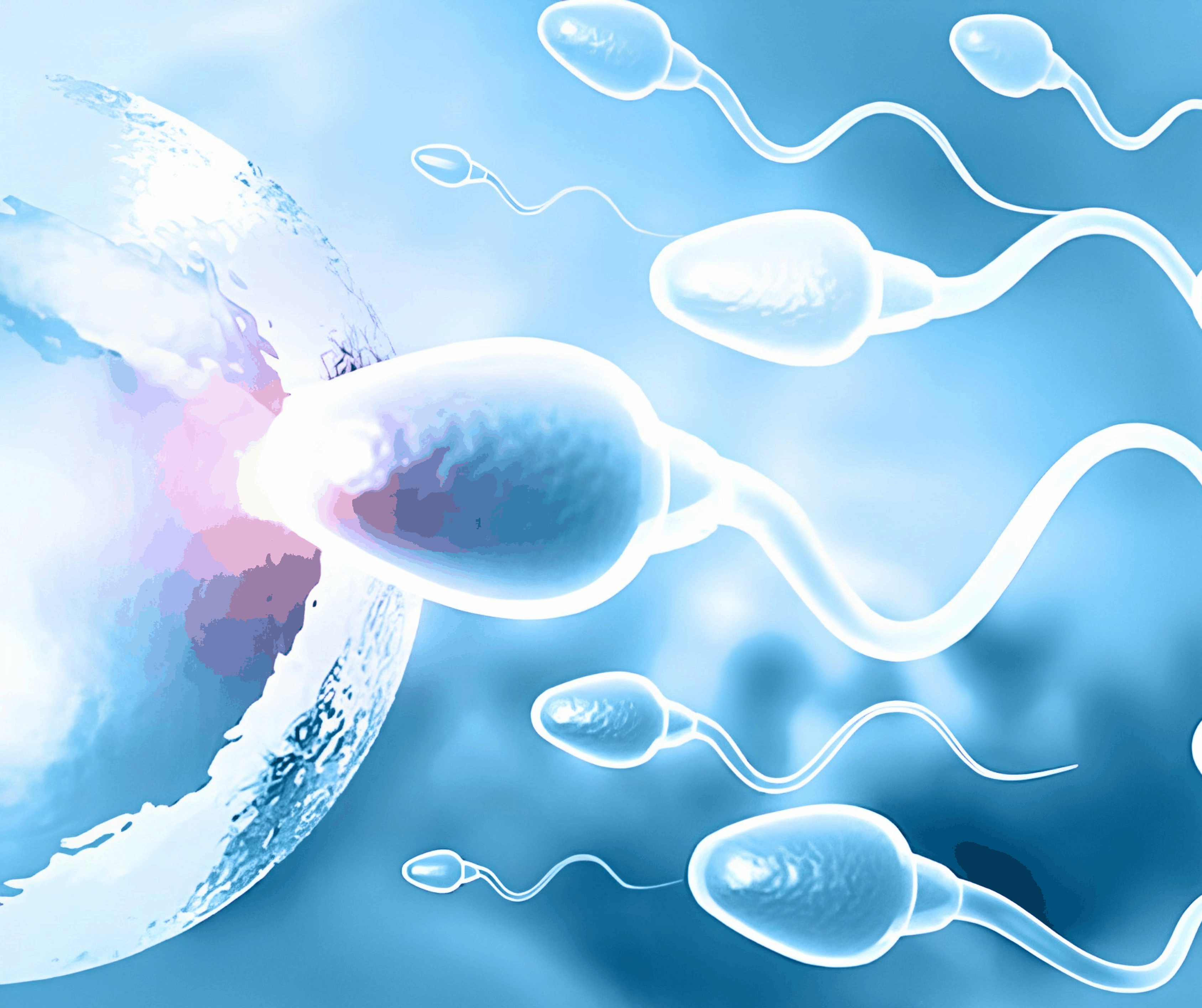Female Infertility