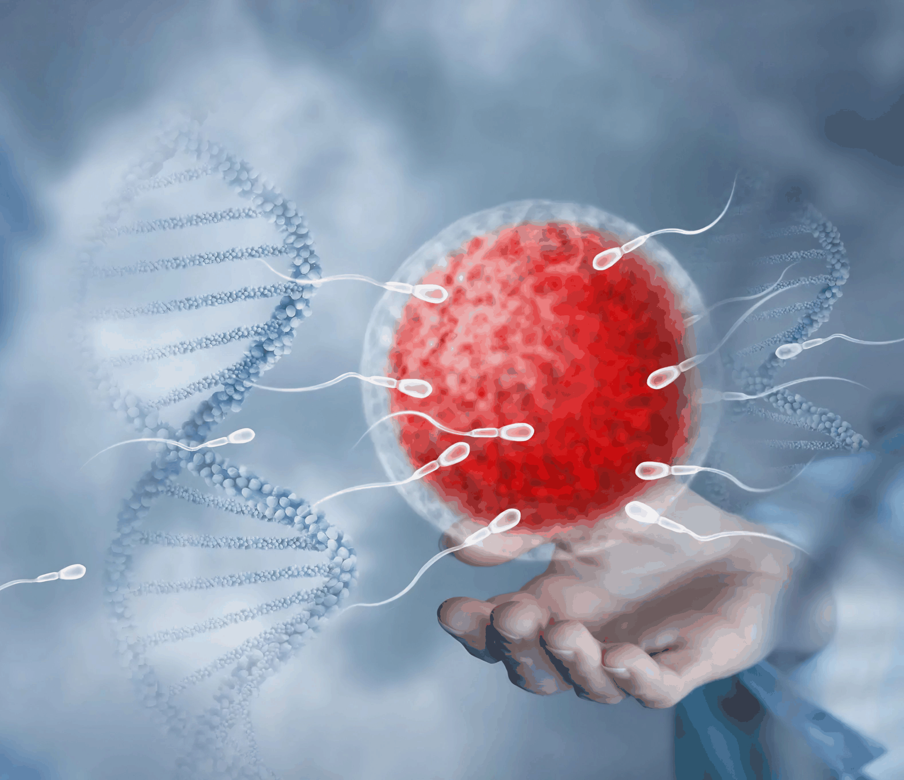 Male Infertility